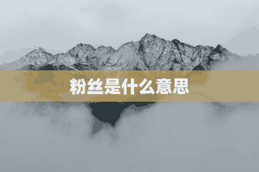 粉丝是什么意思(粉丝是什么意思为什么叫粉丝)